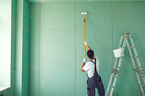 Best Mold Damage Restoration  in Cottage City, MD